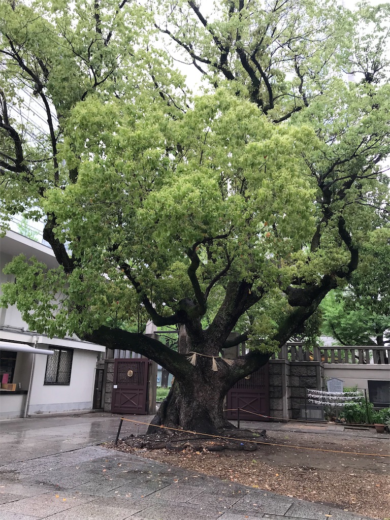 f:id:skyzone:20190502065211j:image f:id:skyzone:20190502065211j:image