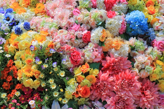 f:id:skyzone:20190708082910j:plain f:id:skyzone:20190708082910j:plain
