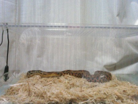 f:id:sl-st:20100704192345j:image