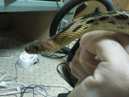 f:id:sl-st:20100704193506j:image