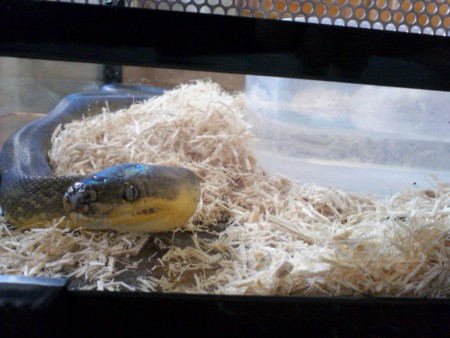 f:id:sl-st:20100823114157j:image