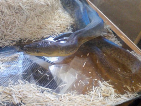 f:id:sl-st:20100823114405j:image