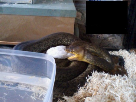 f:id:sl-st:20100824100500j:image