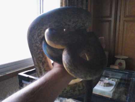 f:id:sl-st:20100924120248j:image