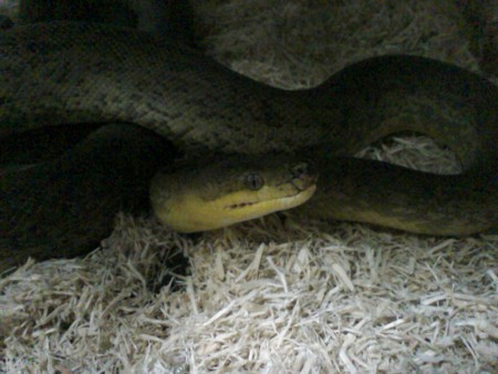f:id:sl-st:20110301165434j:image f:id:sl-st:20110301165434j:image