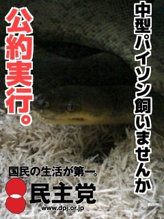f:id:sl-st:20110302135519j:image f:id:sl-st:20110302135519j:image