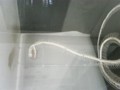 20120316101558