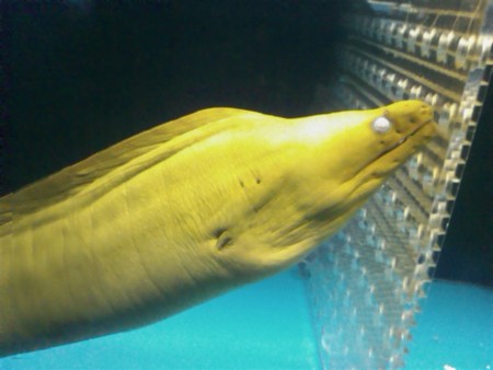 f:id:sl-st:20120316154611j:image
