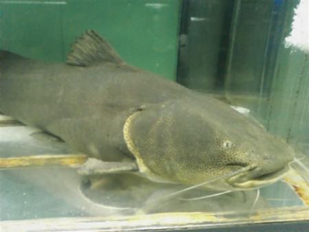 f:id:sl-st:20120316154912j:image