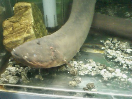 f:id:sl-st:20120316155210j:image