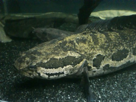 f:id:sl-st:20120316155639j:image