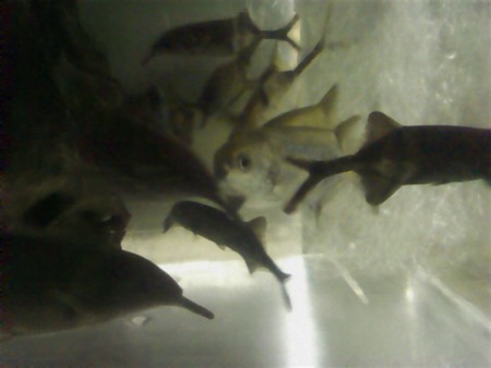 f:id:sl-st:20120316155857j:image