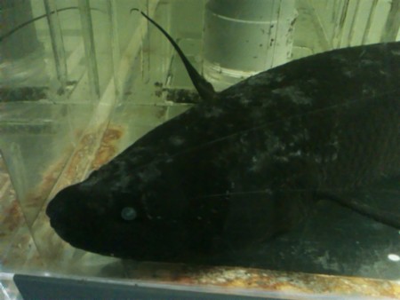 f:id:sl-st:20120316160235j:image