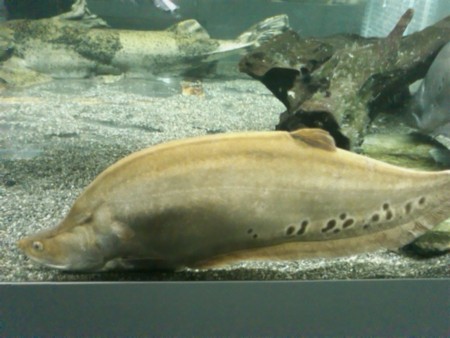 f:id:sl-st:20120316160316j:image