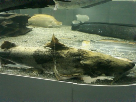 f:id:sl-st:20120316160930j:image