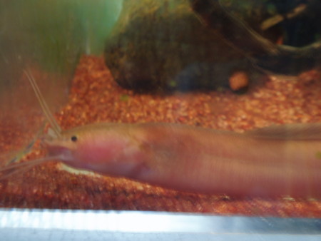f:id:sl-st:20130101155119j:image f:id:sl-st:20130101155119j:image