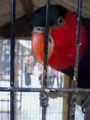 20130321213643
