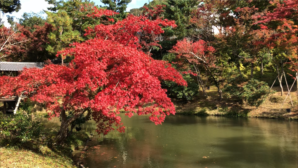 f:id:slab822say654:20191124203532p:image f:id:slab822say654:20191124203532p:image