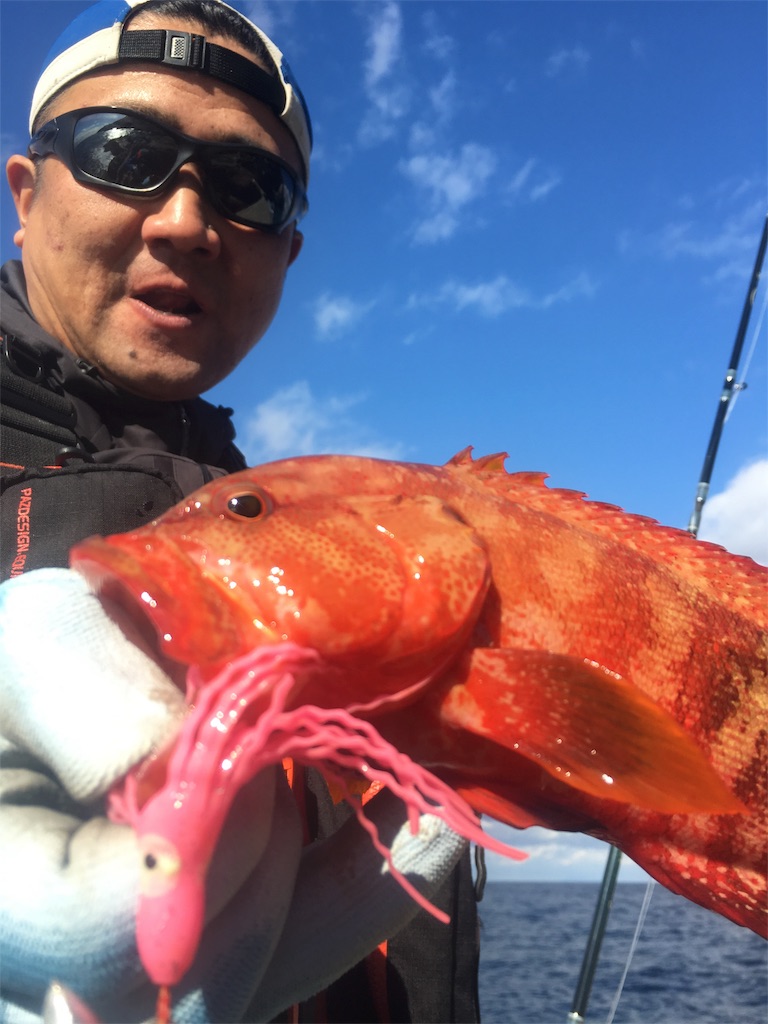 f:id:slackfish:20170104230021j:image f:id:slackfish:20170104230021j:image