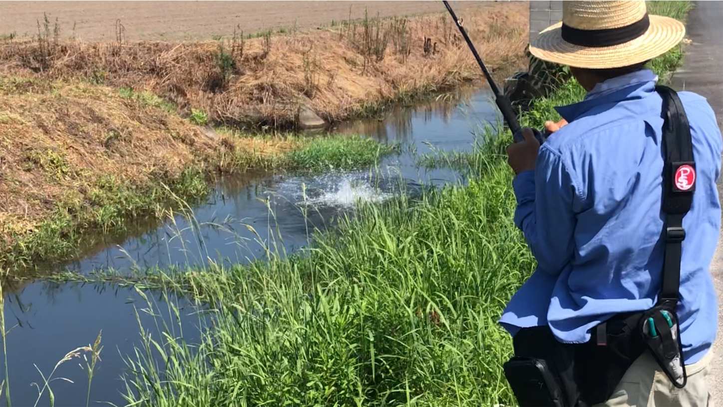 19年津留崎塾 車から降りて１４秒雷魚編 浦川英幸のfieldwork Fishingcreative