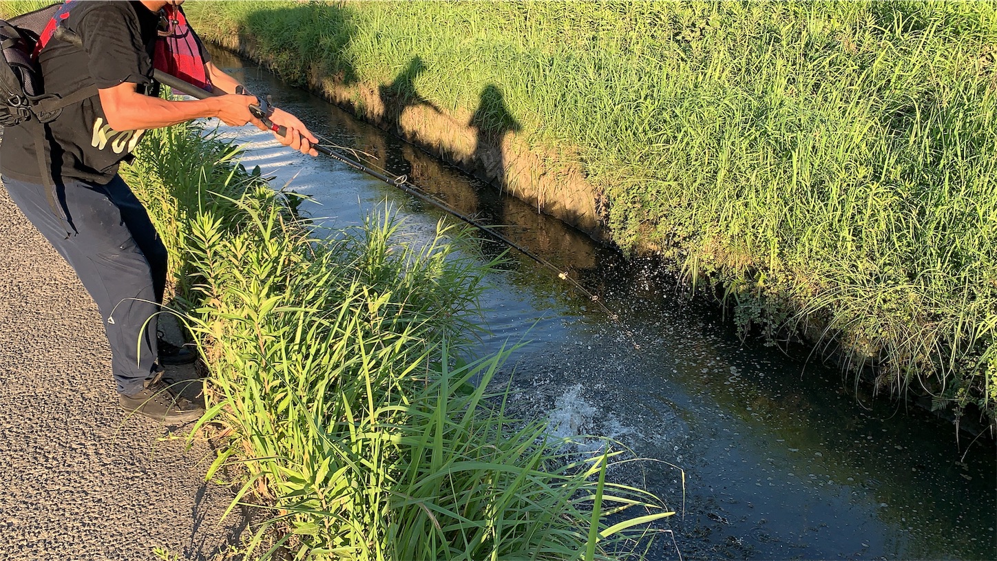 f:id:slackfish:20191014202502j:image f:id:slackfish:20191014202502j:image