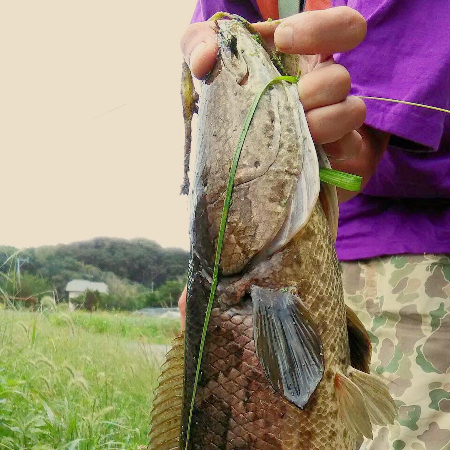 f:id:slackfish:20191014204321j:image f:id:slackfish:20191014204321j:image