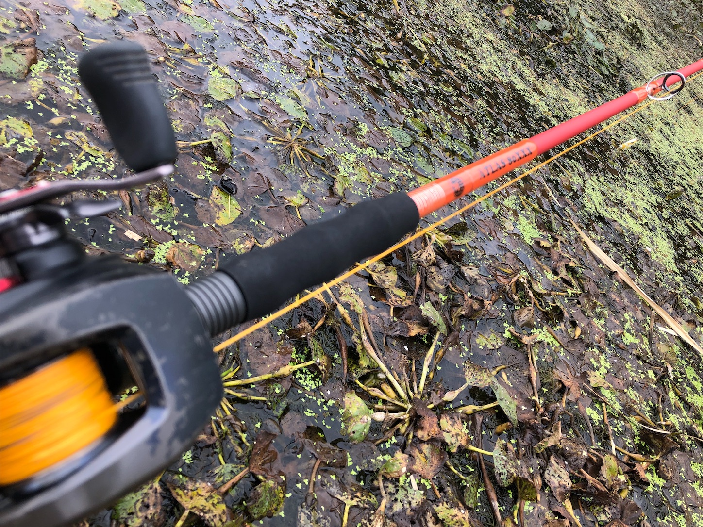 f:id:slackfish:20191014204326j:image f:id:slackfish:20191014204326j:image