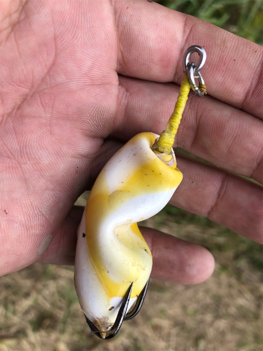 f:id:slackfish:20191014204433j:image f:id:slackfish:20191014204433j:image