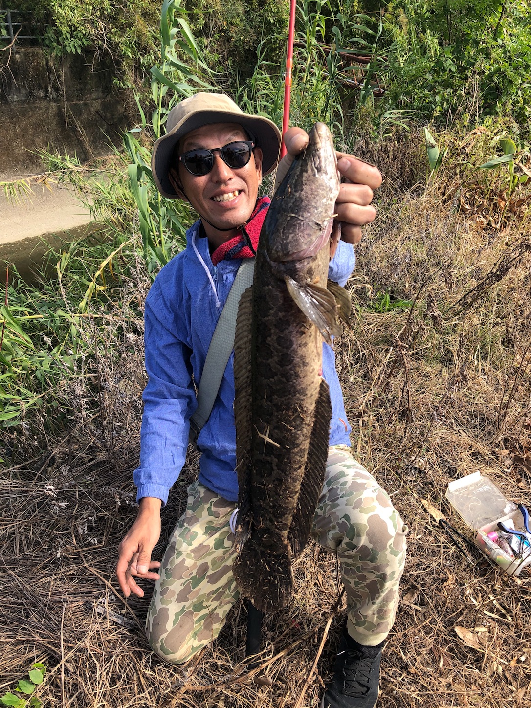 f:id:slackfish:20191014204725j:image f:id:slackfish:20191014204725j:image