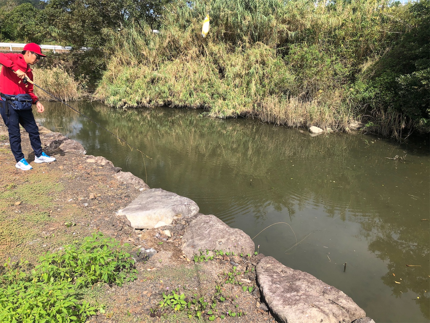 f:id:slackfish:20191014204731j:image f:id:slackfish:20191014204731j:image