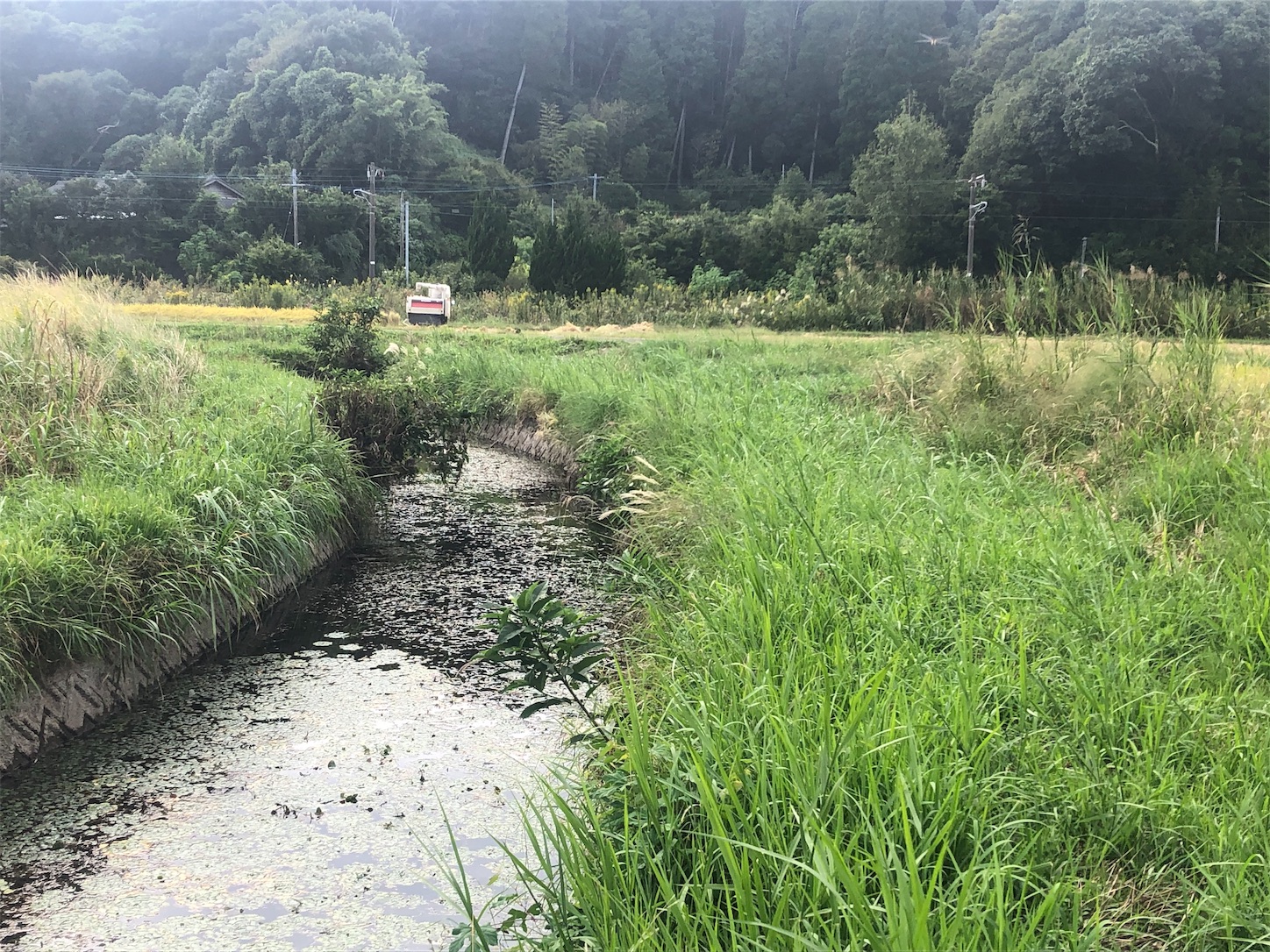 f:id:slackfish:20191014204747j:image f:id:slackfish:20191014204747j:image