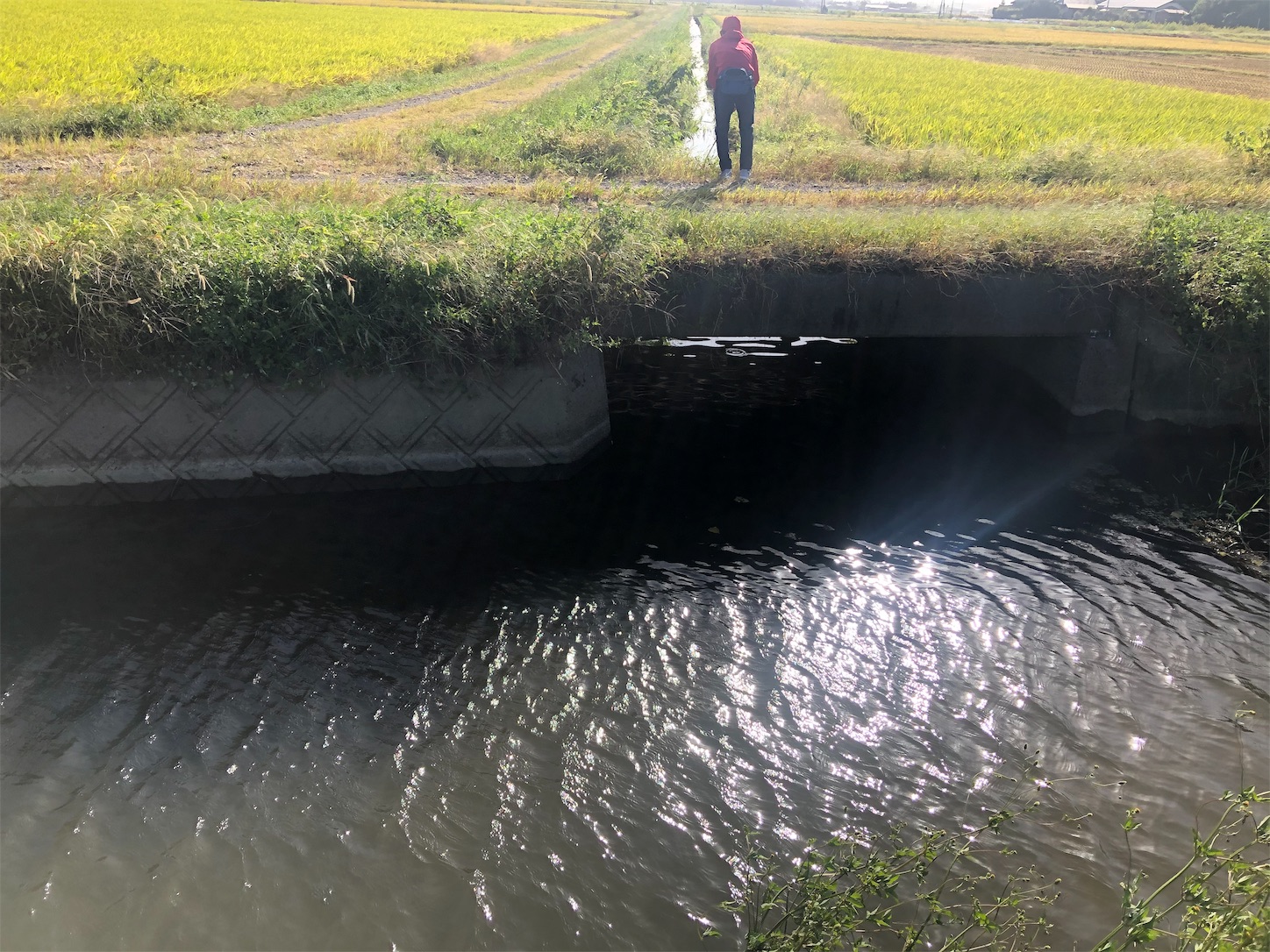 f:id:slackfish:20191014204753j:image f:id:slackfish:20191014204753j:image