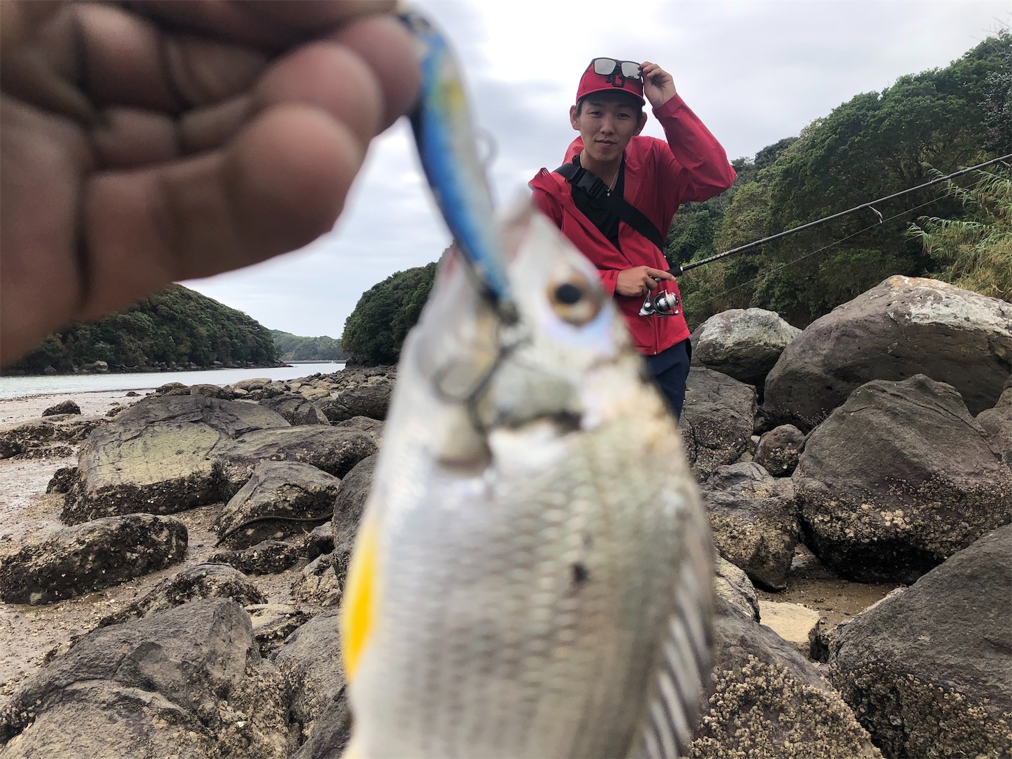 f:id:slackfish:20191014205548j:image f:id:slackfish:20191014205548j:image