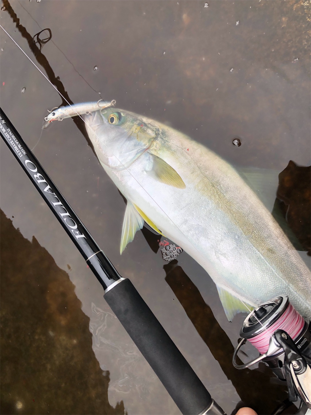 f:id:slackfish:20191122211030j:image f:id:slackfish:20191122211030j:image