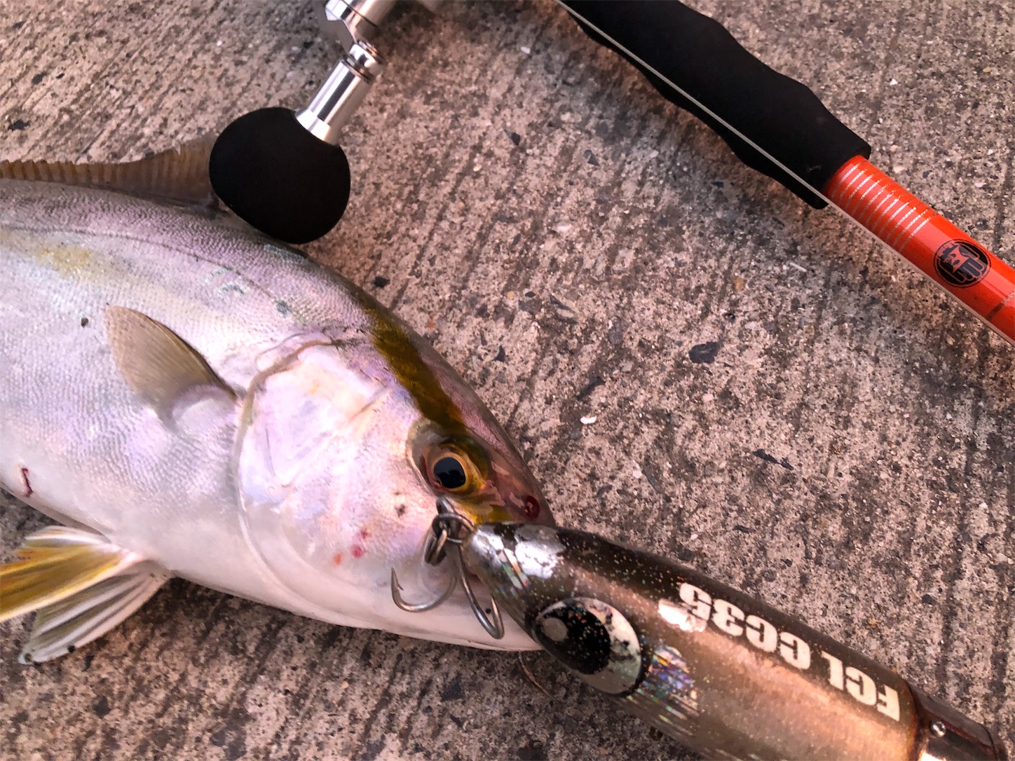 f:id:slackfish:20191122214157j:image f:id:slackfish:20191122214157j:image