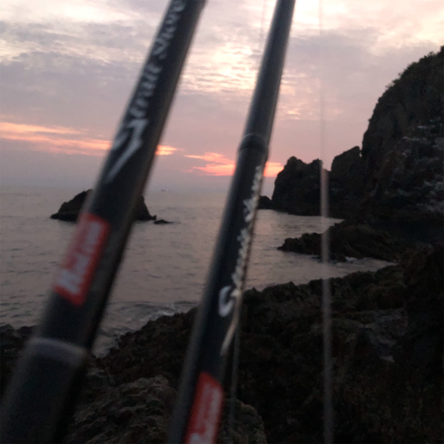 f:id:slackfish:20191122215351j:image f:id:slackfish:20191122215351j:image