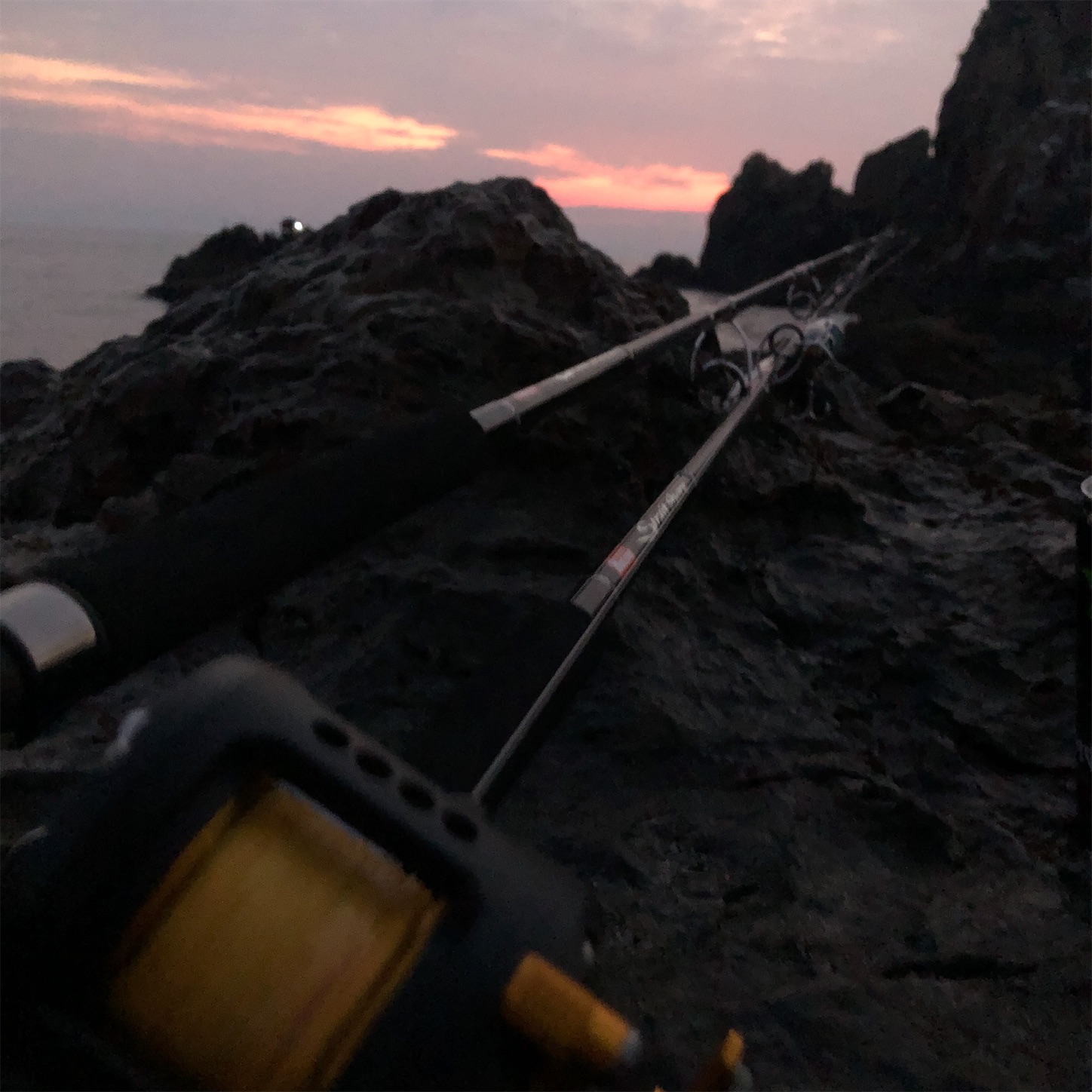 f:id:slackfish:20191122215358j:image f:id:slackfish:20191122215358j:image