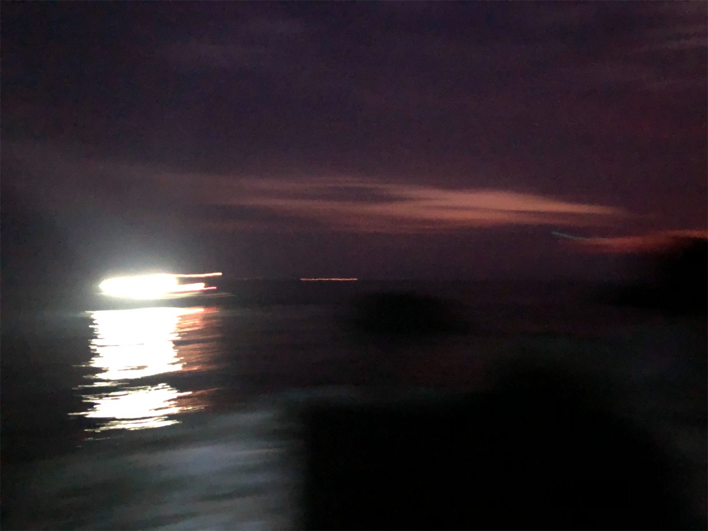 f:id:slackfish:20191122215403j:image f:id:slackfish:20191122215403j:image