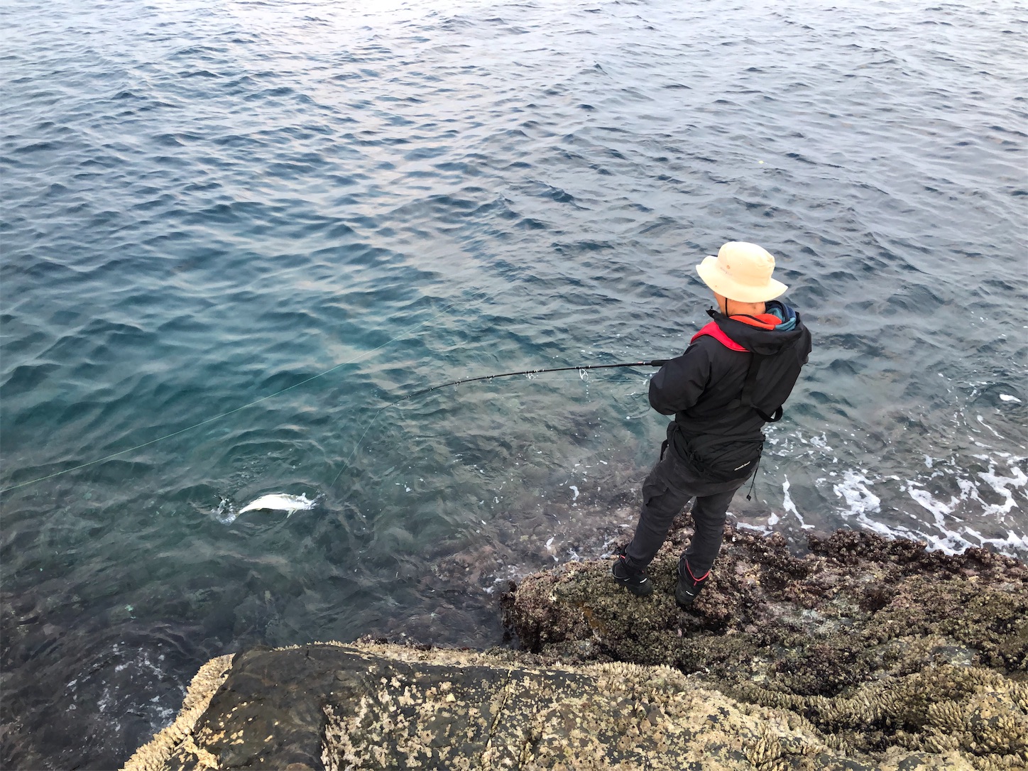 f:id:slackfish:20191122215542j:image f:id:slackfish:20191122215542j:image