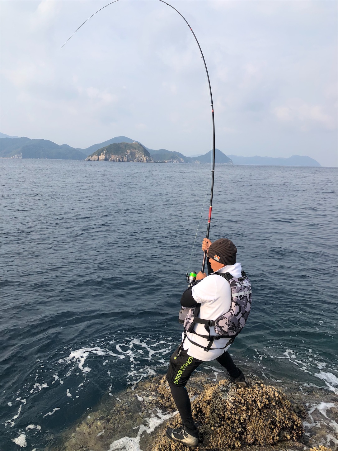 f:id:slackfish:20191122220020j:image f:id:slackfish:20191122220020j:image