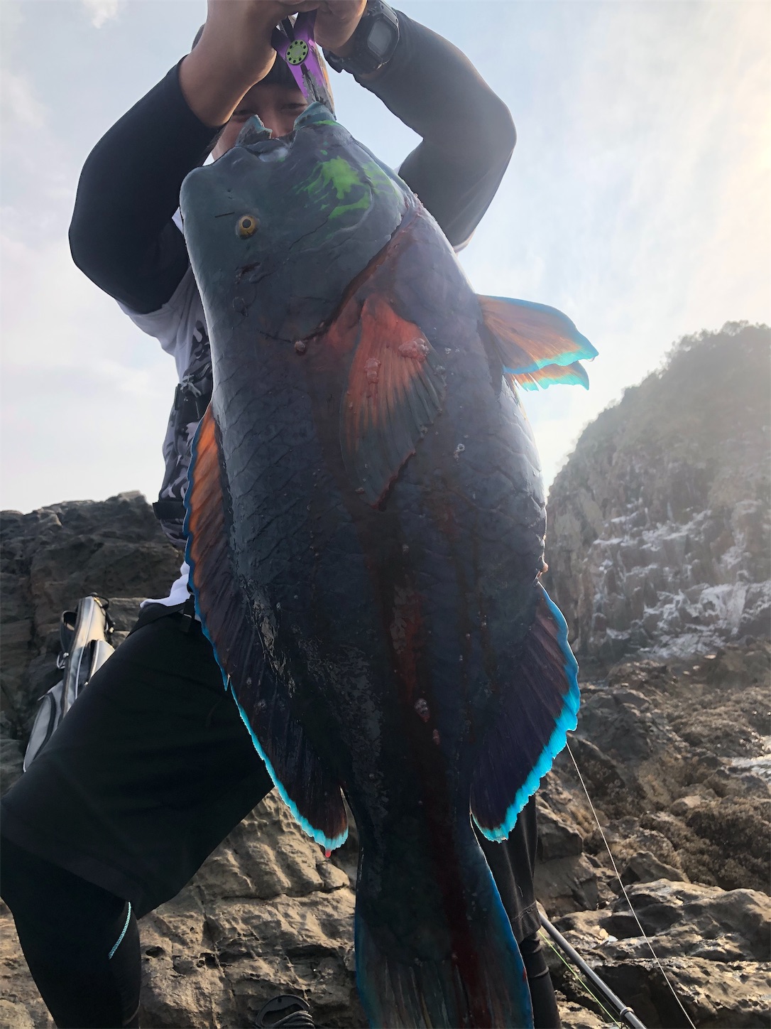 f:id:slackfish:20191122220039j:image f:id:slackfish:20191122220039j:image