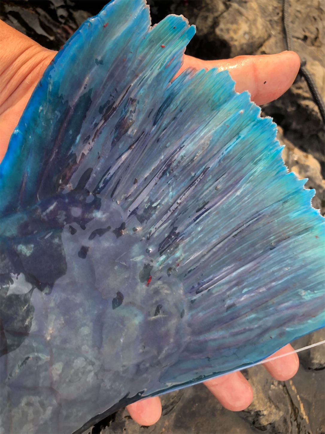 f:id:slackfish:20191122220045j:image f:id:slackfish:20191122220045j:image
