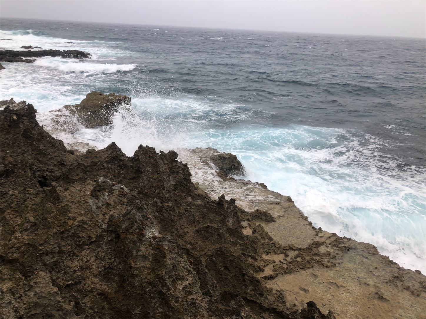 f:id:slackfish:20191122221046j:image f:id:slackfish:20191122221046j:image