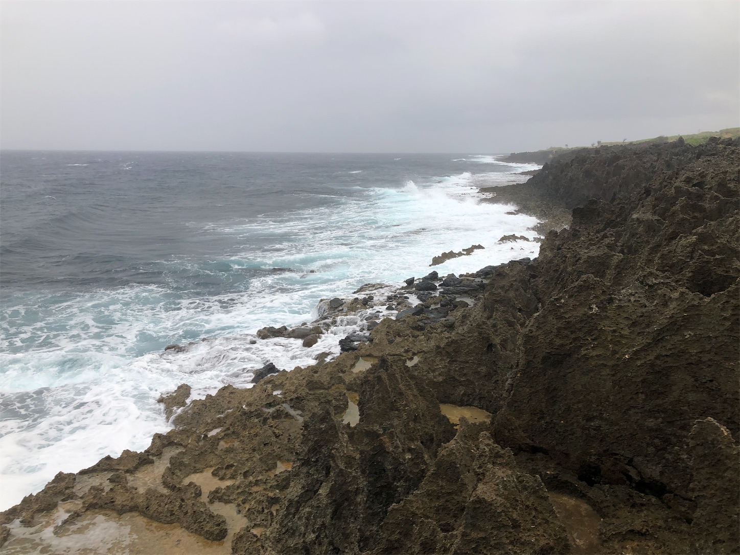 f:id:slackfish:20191122221052j:image f:id:slackfish:20191122221052j:image