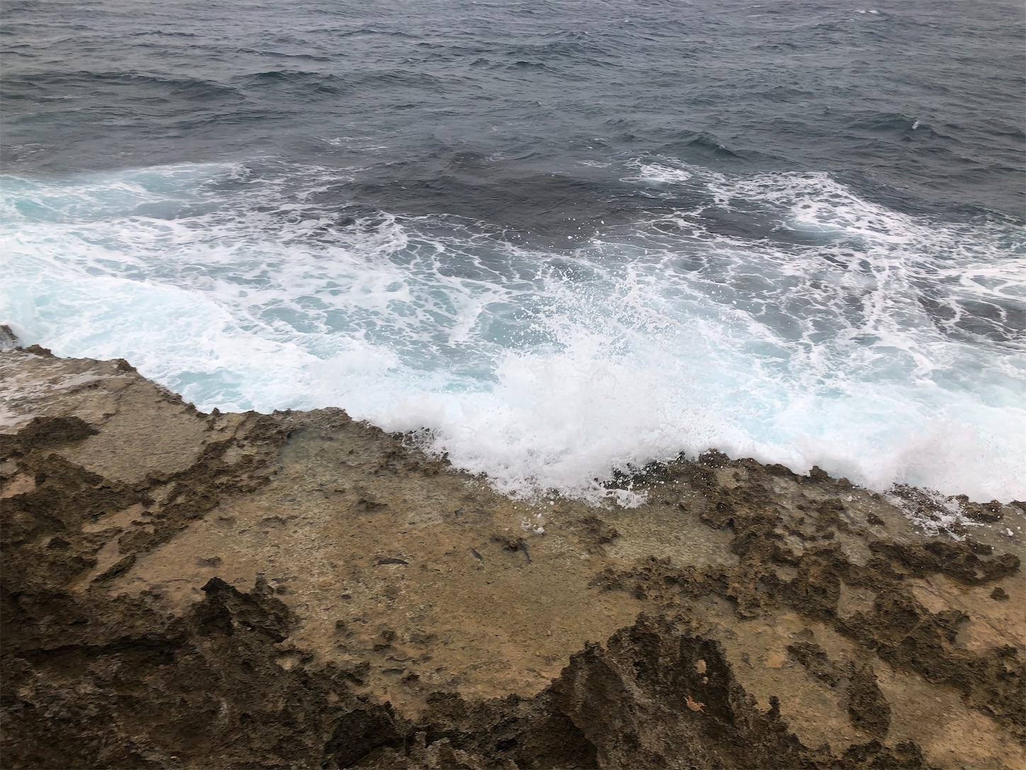 f:id:slackfish:20191122221100j:image f:id:slackfish:20191122221100j:image