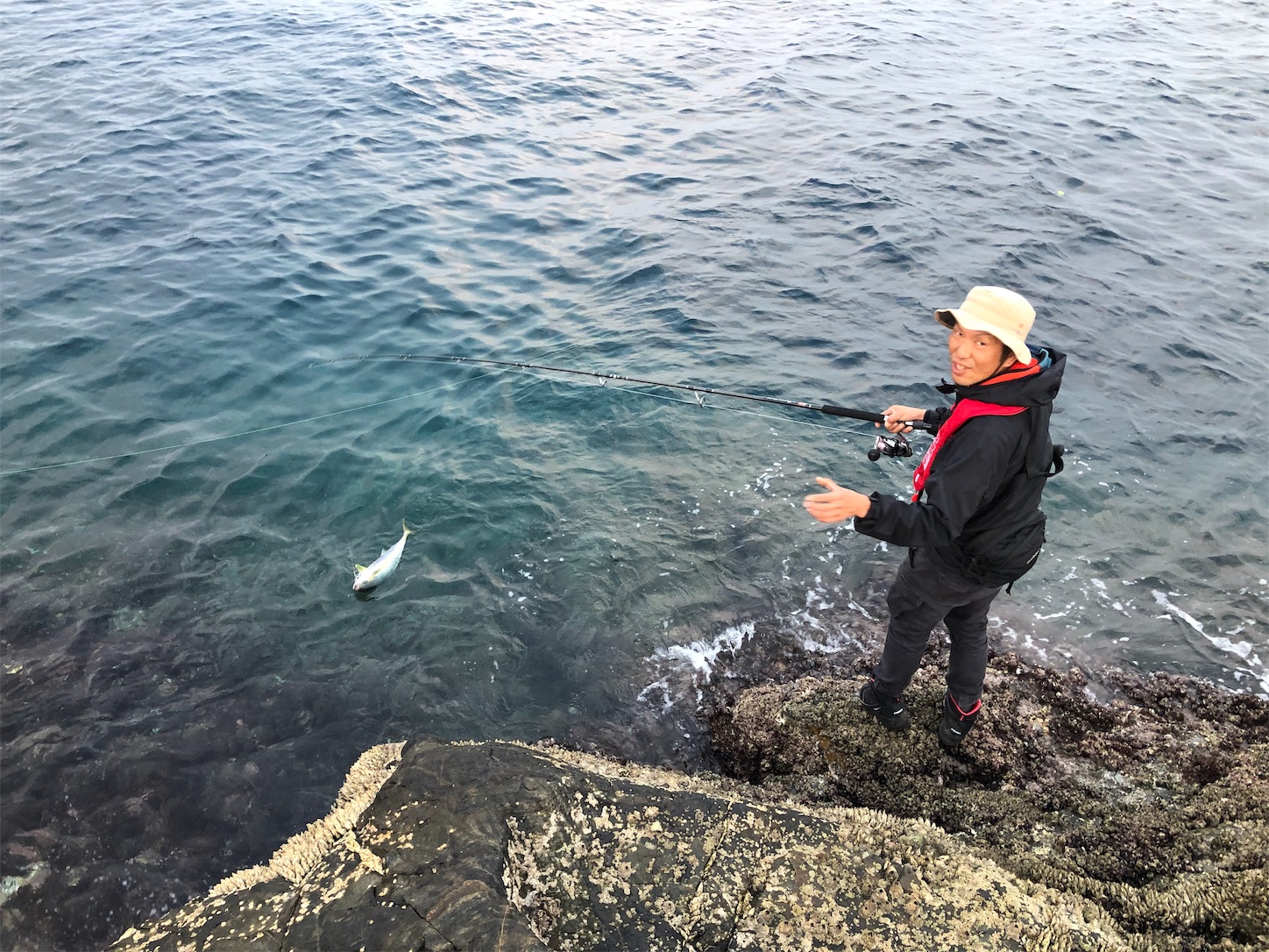f:id:slackfish:20191122221558j:image f:id:slackfish:20191122221558j:image