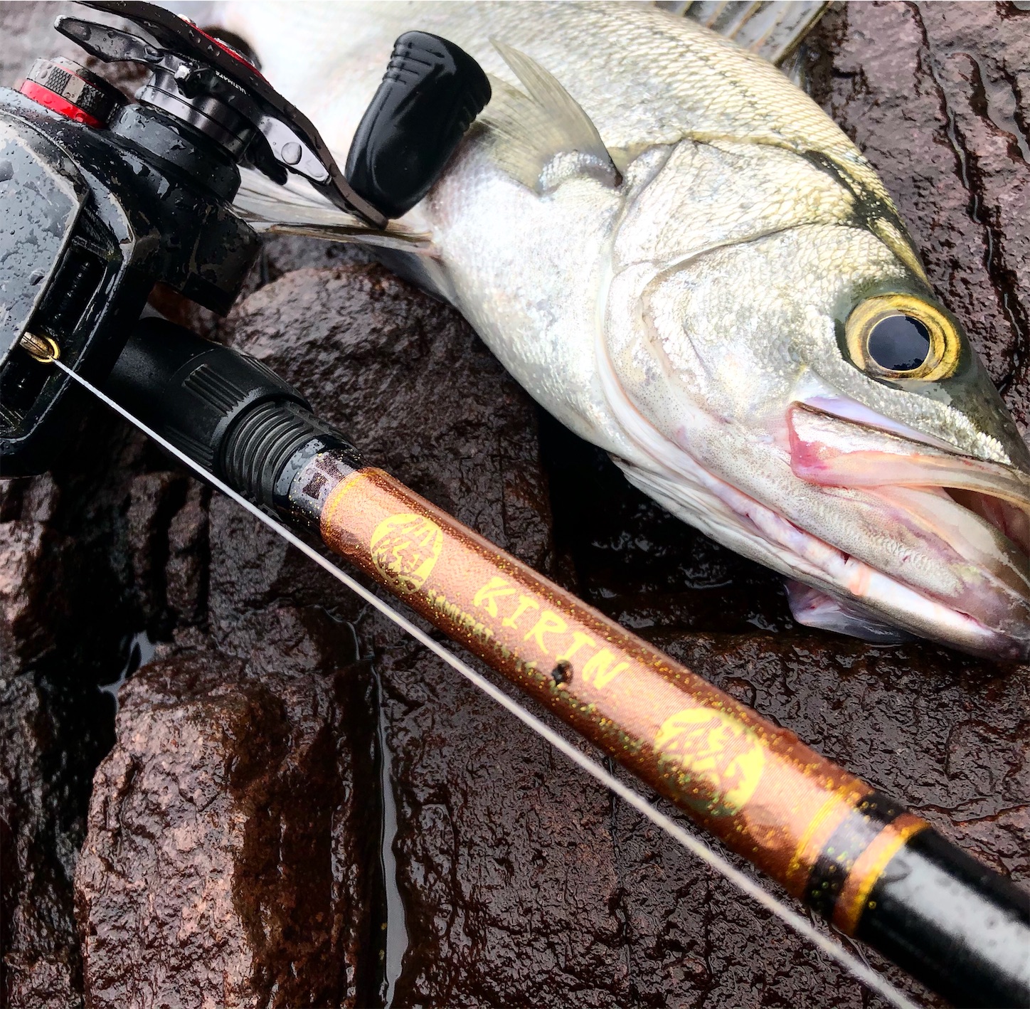 f:id:slackfish:20200908215130j:image f:id:slackfish:20200908215130j:image