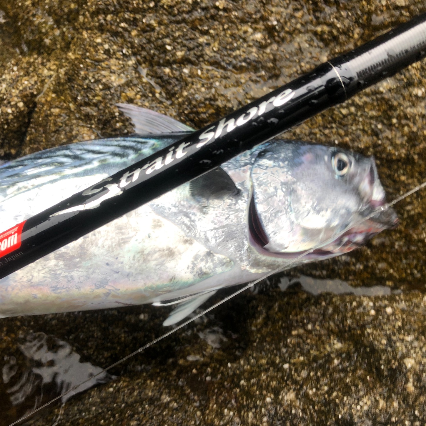 f:id:slackfish:20200908230633j:image f:id:slackfish:20200908230633j:image