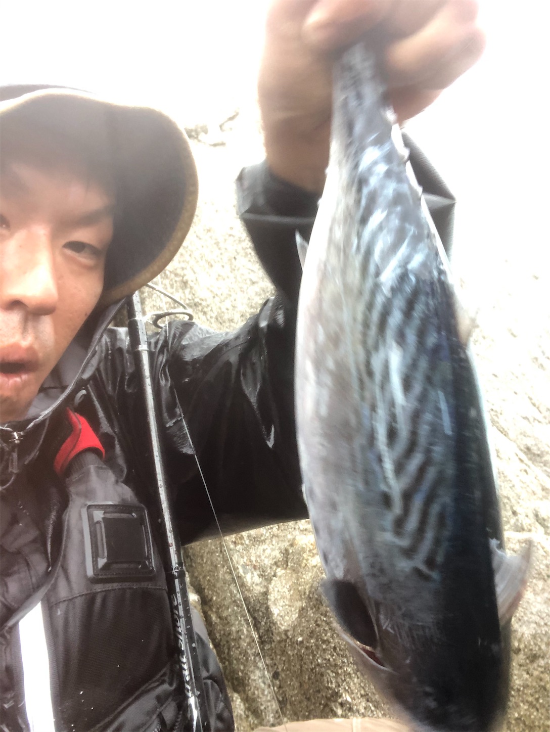 f:id:slackfish:20200908230638j:image f:id:slackfish:20200908230638j:image