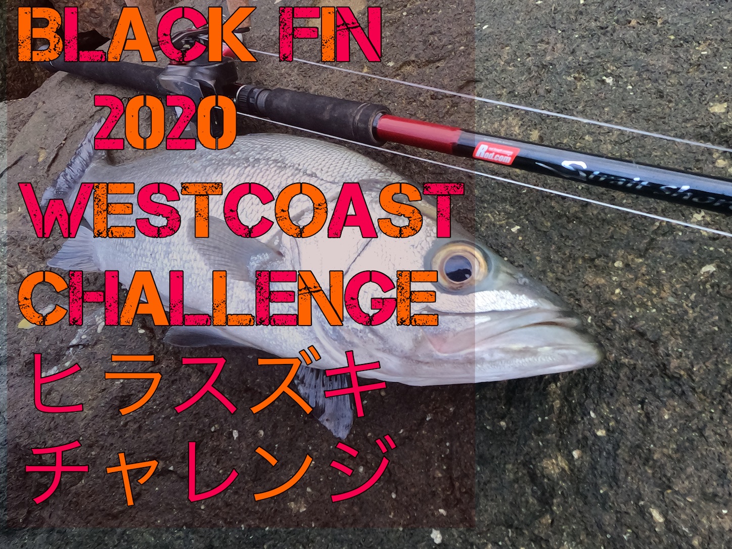 f:id:slackfish:20201129195238j:image f:id:slackfish:20201129195238j:image